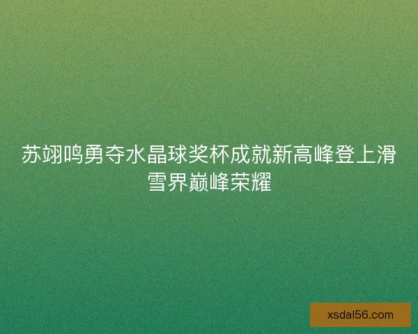 苏翊鸣勇夺水晶球奖杯成就新高峰登上滑雪界巅峰荣耀