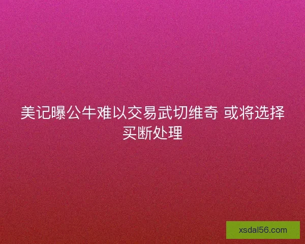美记曝公牛难以交易武切维奇 或将选择买断处理